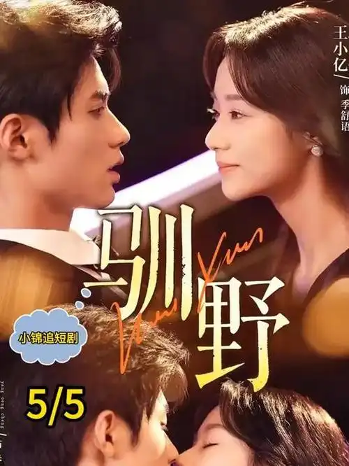 白色巨塔经典日剧在线观看